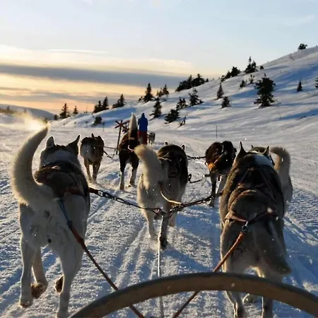 Polar Horizon Penthouse L L Sea View 公寓