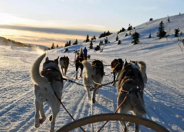 Polar Horizon Penthouse L L Sea View Apartamento